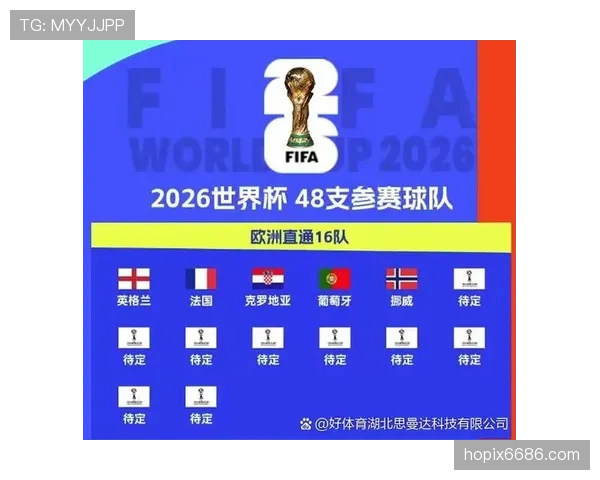 2026世界杯D组小组赛汇总：排名、赛果与晋级名单整理